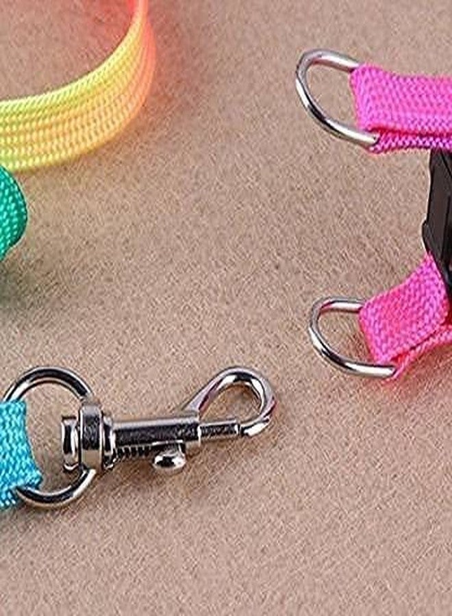 PETLICIOUS & MORE طقم سرج ومقود Petlicious & More® بتصميم قوس قزح 12.5 مم للجراء الصغيرة فقط (المقاس - صغير جدًا، التصميم - قوس قزح) - Image 3